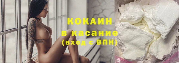 ешки Алексин