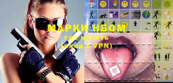 индика Бикин