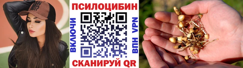 даркнет сайт Клинцы Галлюциногенные грибы ЛСД