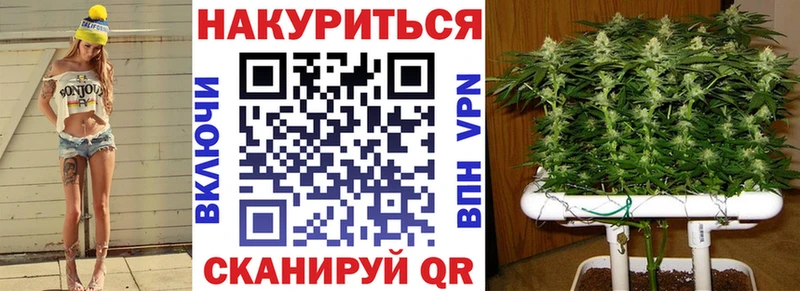 Бошки марихуана планчик  блэк спрут вход  Клинцы  наркошоп 